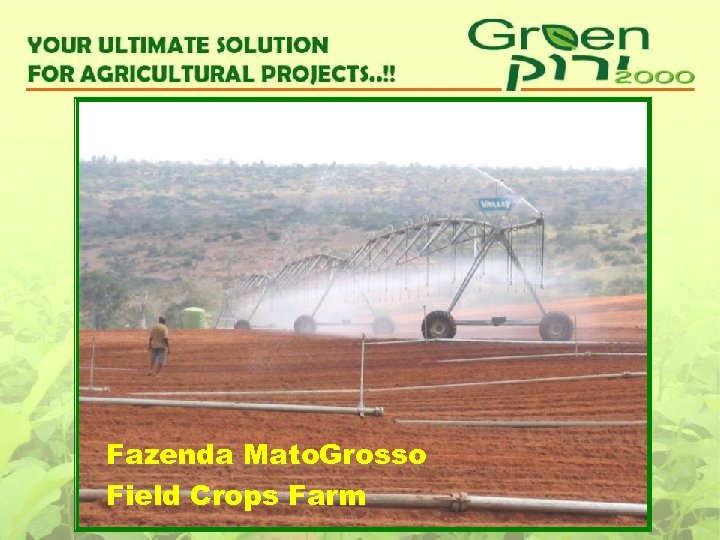 Fazenda Mato. Grosso Field Crops Farm 
