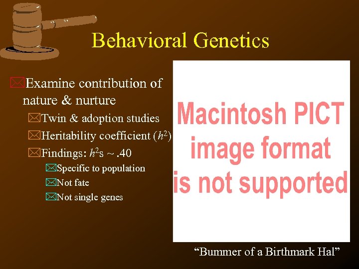 Behavioral Genetics *Examine contribution of nature & nurture *Twin & adoption studies *Heritability coefficient