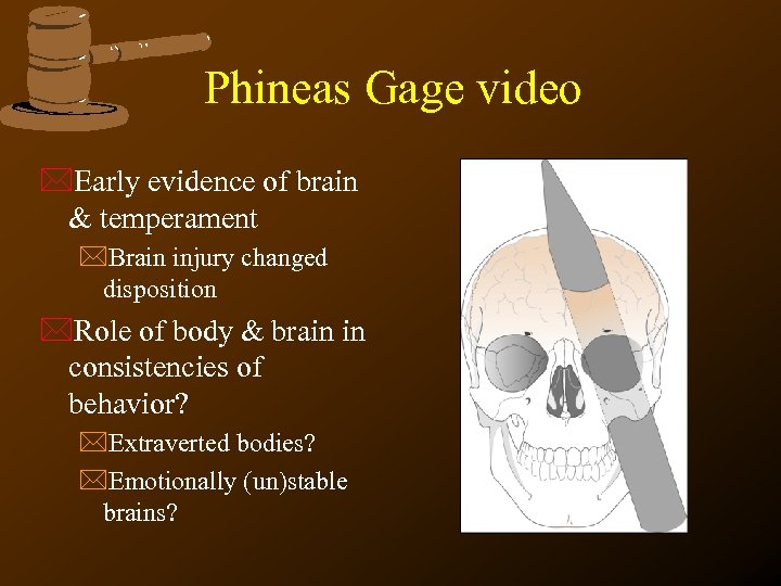 Phineas Gage video *Early evidence of brain & temperament *Brain injury changed disposition *Role