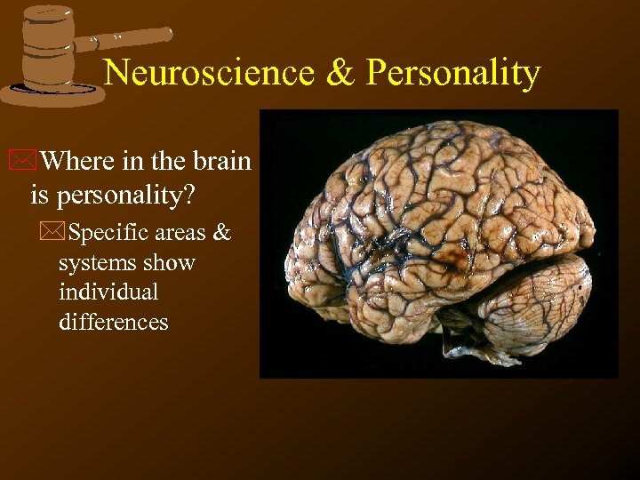 Neuroscience & Personality *Where in the brain is personality? *Specific areas & systems show