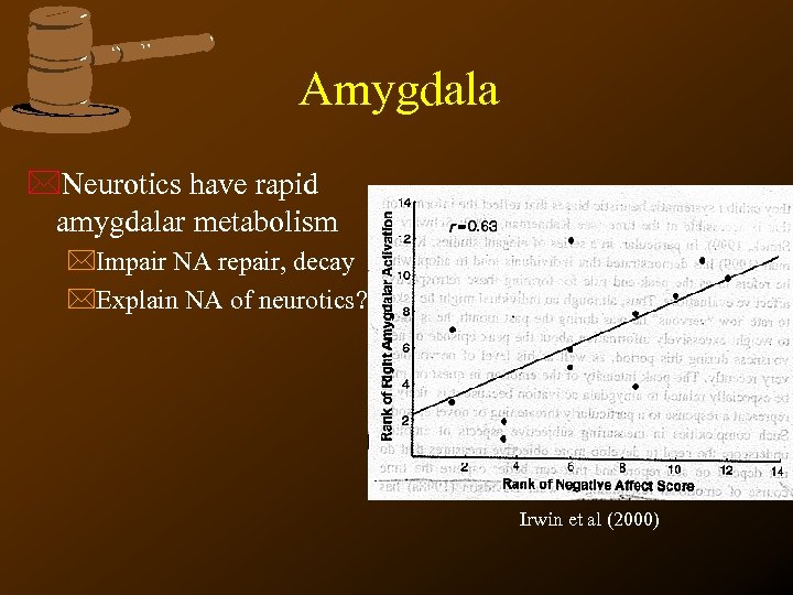 Amygdala *Neurotics have rapid amygdalar metabolism *Impair NA repair, decay *Explain NA of neurotics?