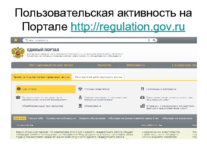 Пользовательская активность на Портале http: //regulation. gov. ru 