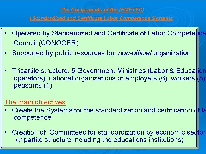 The Components of the (PMETYC) I Standardized and Certificate Labor Competence Systems • Operated