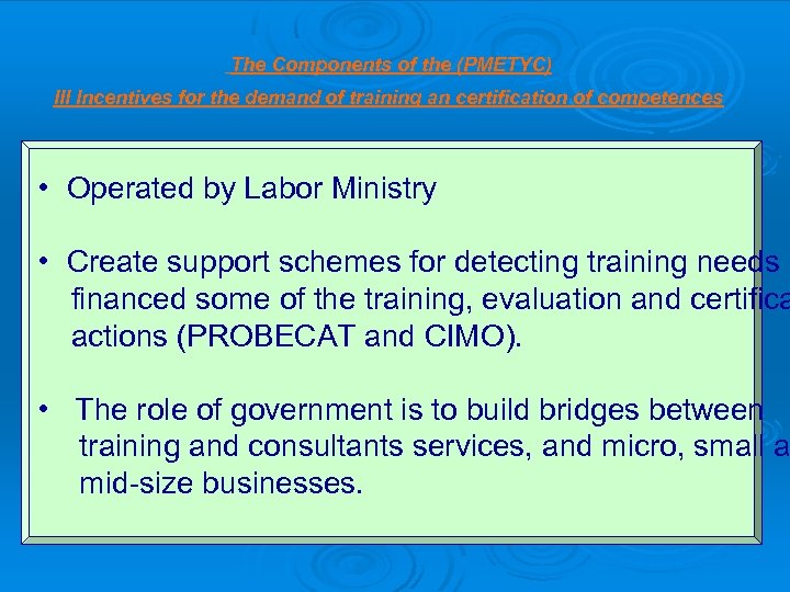 The Components of the (PMETYC) III Incentives for the demand of training an certification