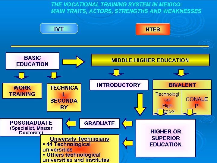 THE VOCATIONAL TRAINING SYSTEM IN MEXICO: MAIN TRAITS, ACTORS, STRENGTHS AND WEAKNESSES IVT NTES