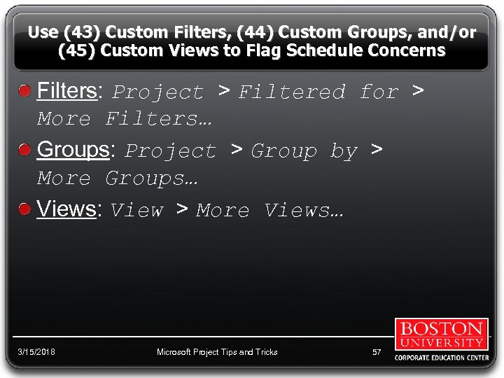 Use (43) Custom Filters, (44) Custom Groups, and/or (45) Custom Views to Flag Schedule