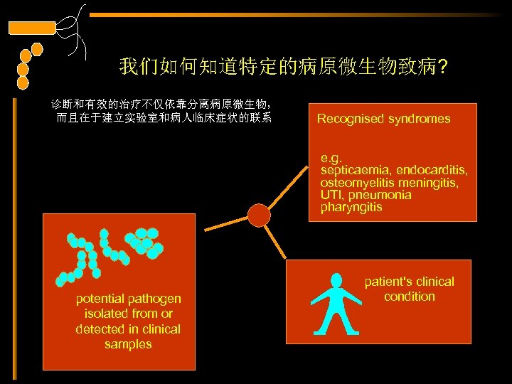 我们如何知道特定的病原微生物致病? 诊断和有效的治疗不仅依靠分离病原微生物， 而且在于建立实验室和病人临床症状的联系 Recognised syndromes e. g. septicaemia, endocarditis, osteomyelitis meningitis, UTI, pneumonia pharyngitis