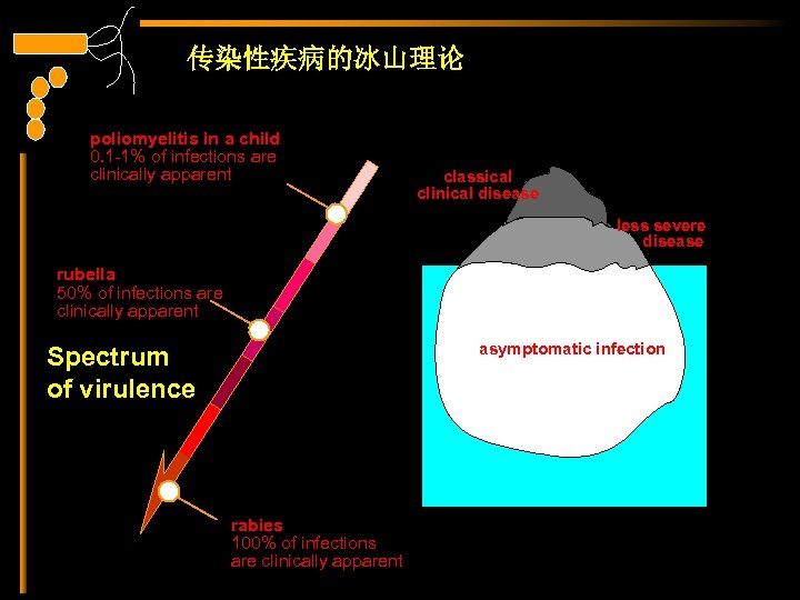 传染性疾病的冰山理论 poliomyelitis in a child 0. 1 -1% of infections are clinically apparent classical