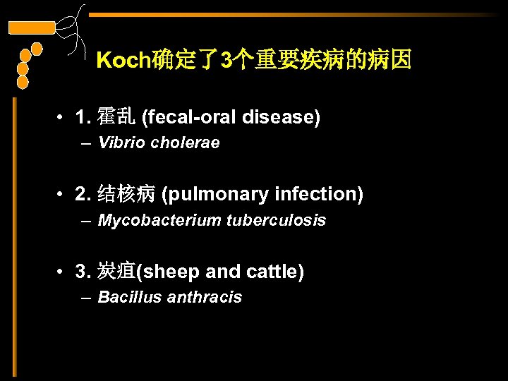 Koch确定了3个重要疾病的病因 • 1. 霍乱 (fecal-oral disease) – Vibrio cholerae • 2. 结核病 (pulmonary infection)