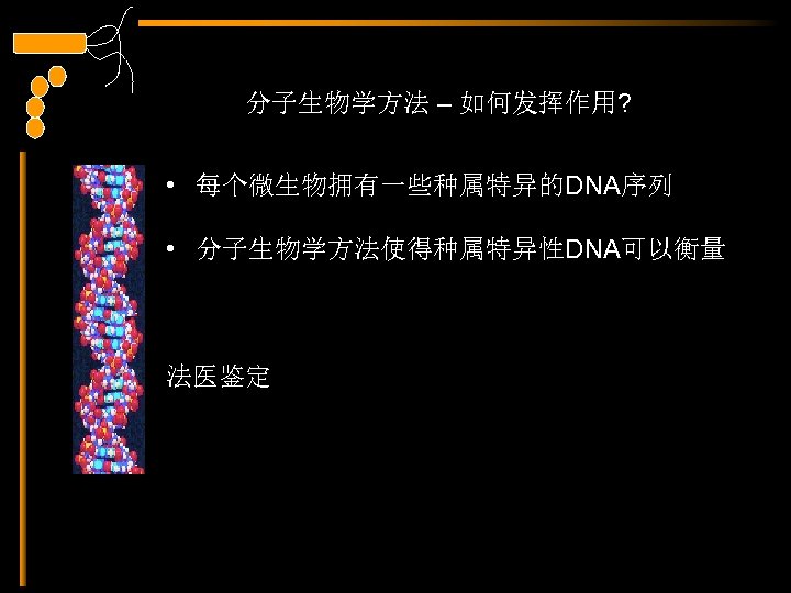 分子生物学方法 – 如何发挥作用? • 每个微生物拥有一些种属特异的DNA序列 • 分子生物学方法使得种属特异性DNA可以衡量 法医鉴定 
