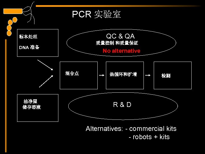 PCR 实验室 QC & QA 标本处理 质量控制 和质量保证 DNA 准备 No alternative 混合点 洁净屋