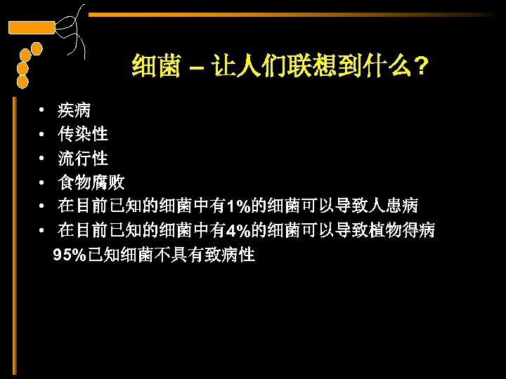 细菌 – 让人们联想到什么? • • • 疾病 传染性 流行性 食物腐败 在目前已知的细菌中有1%的细菌可以导致人患病 在目前已知的细菌中有4%的细菌可以导致植物得病 95%已知细菌不具有致病性 