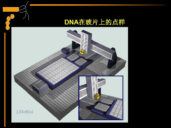 DNA在玻片上的点样 