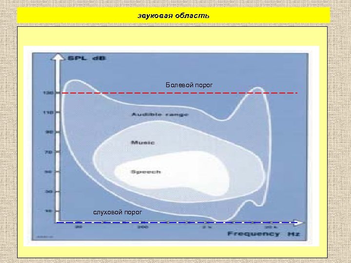 звуковая область Болевой порог слуховой порог 