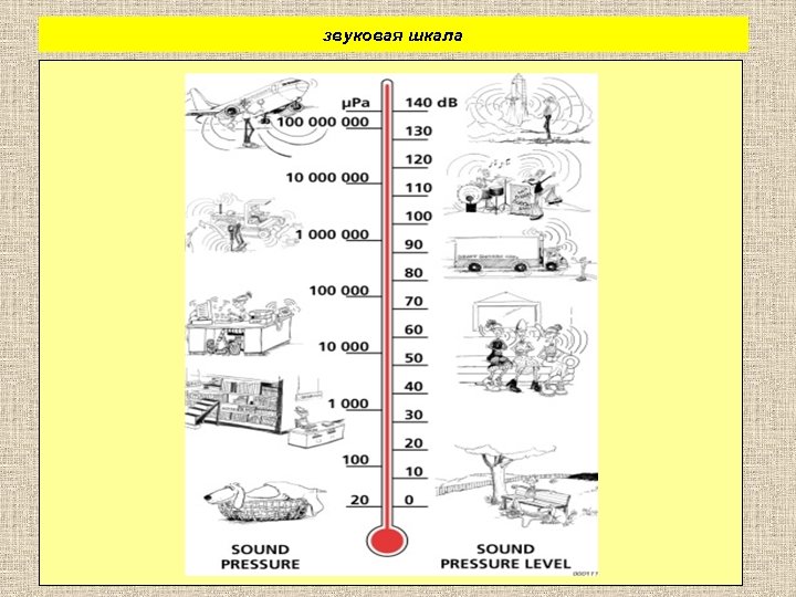 звуковая шкала 