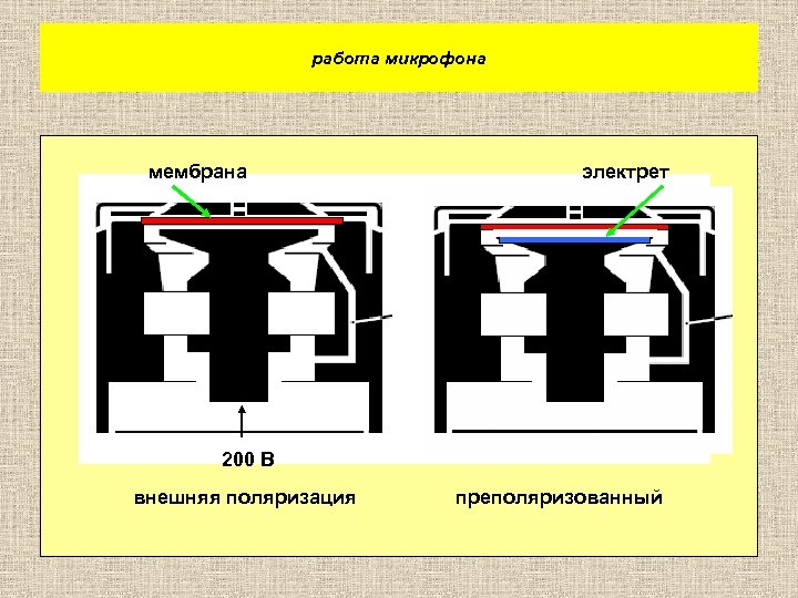 работа микрофона мембрана электрет 200 В внешняя поляризация преполяризованный 