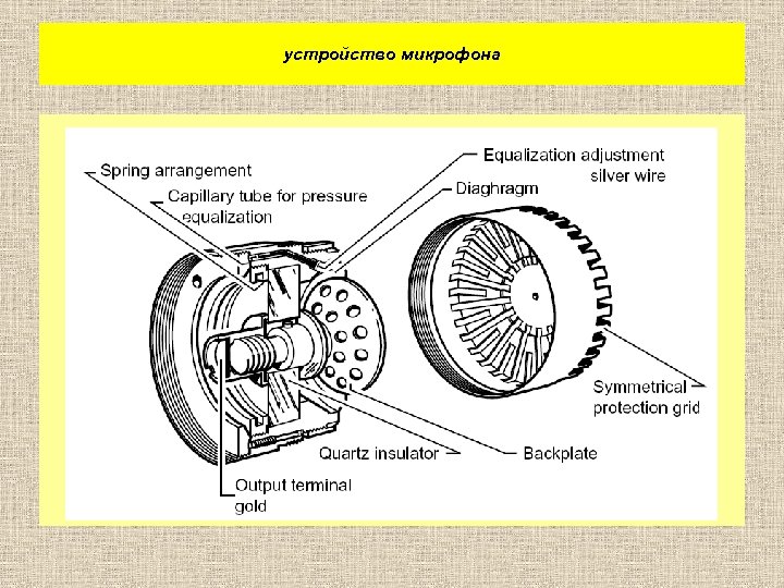 устройство микрофона 