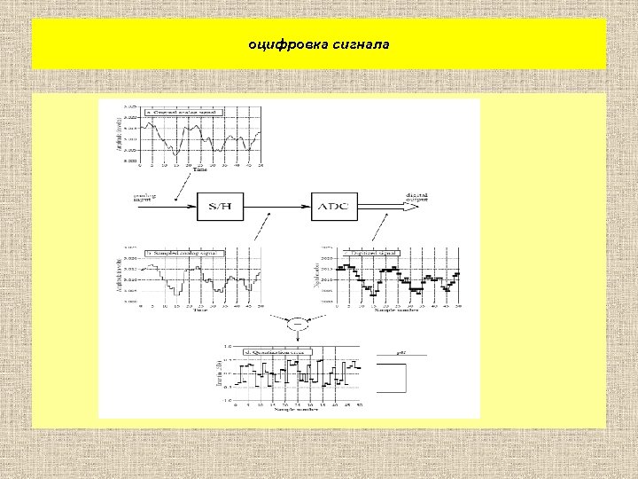 оцифровка сигнала 