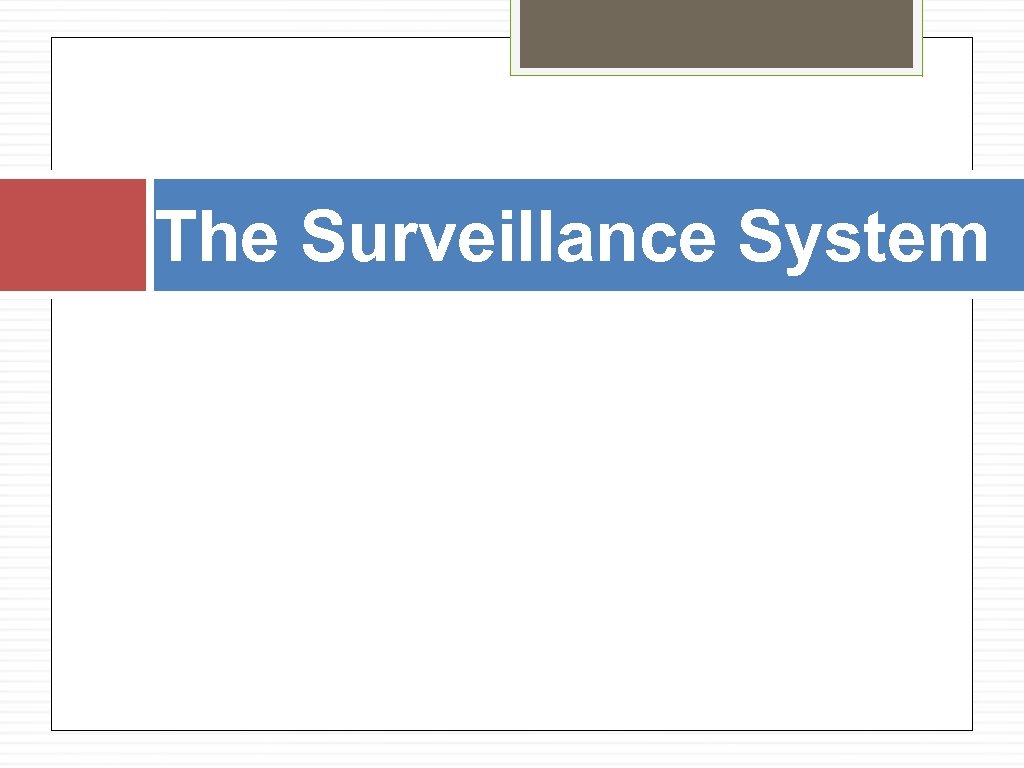 The Surveillance System 