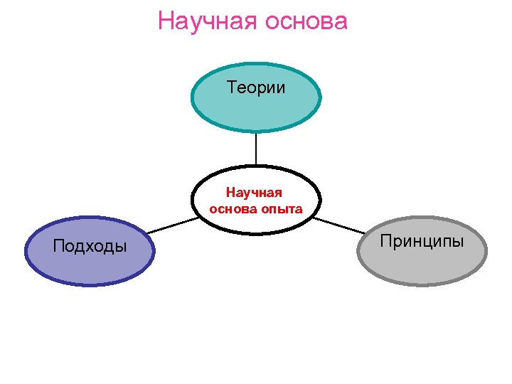 Научная основа Теории Научная основа опыта Подходы Принципы 