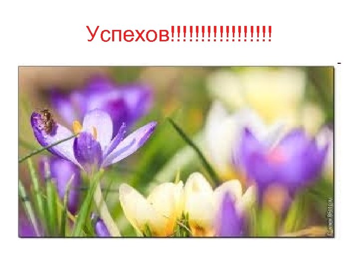 Успехов!!!!!!!!! 