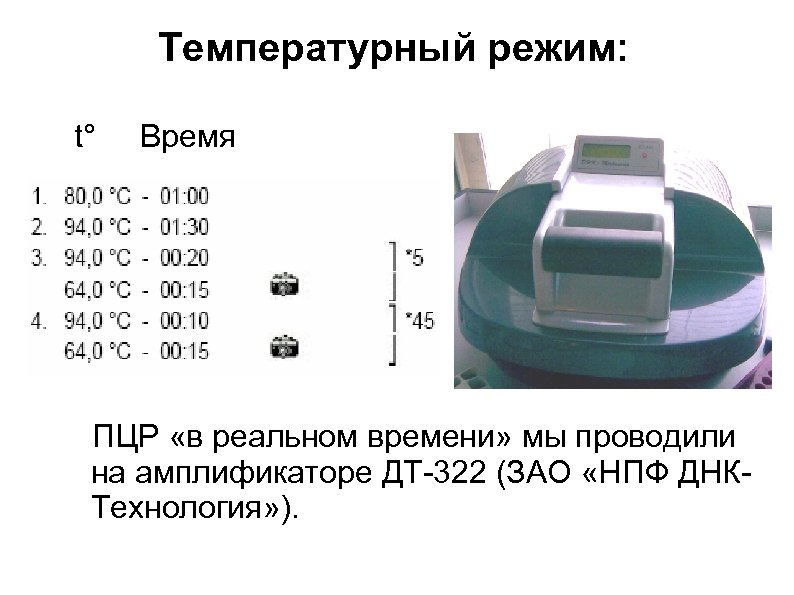 Температурный режим: t° Время ПЦР «в реальном времени» мы проводили на амплификаторе ДТ-322 (ЗАО
