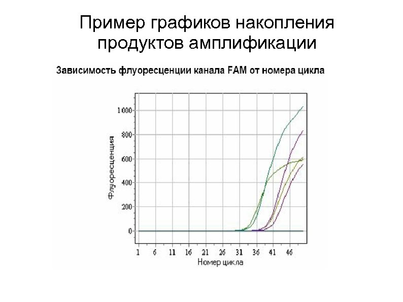 Пример графиков накопления продуктов амплификации 