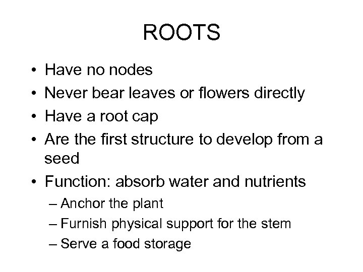 ROOTS • • Have no nodes Never bear leaves or flowers directly Have a