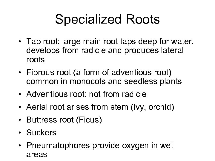 Specialized Roots • Tap root: large main root taps deep for water, develops from