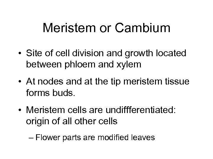 Meristem or Cambium • Site of cell division and growth located between phloem and