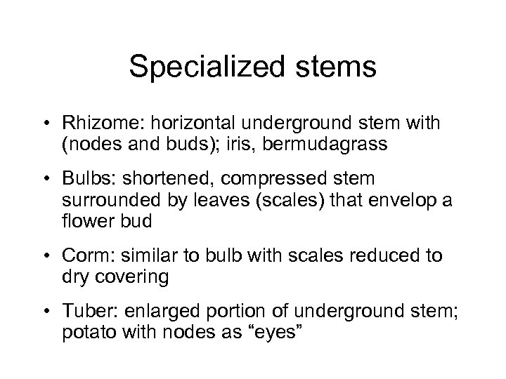 Specialized stems • Rhizome: horizontal underground stem with (nodes and buds); iris, bermudagrass •