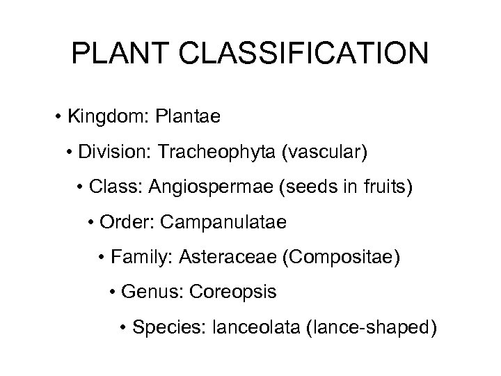 PLANT CLASSIFICATION • Kingdom: Plantae • Division: Tracheophyta (vascular) • Class: Angiospermae (seeds in
