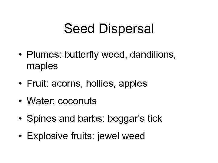 Seed Dispersal • Plumes: butterfly weed, dandilions, maples • Fruit: acorns, hollies, apples •