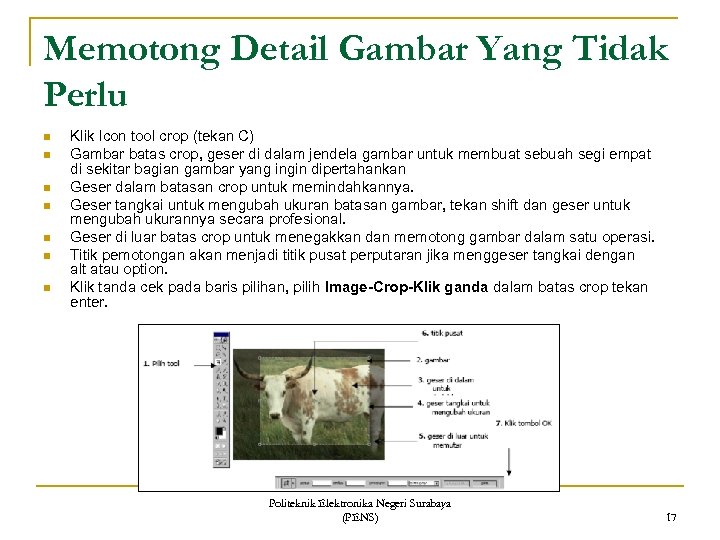 Memotong Detail Gambar Yang Tidak Perlu n n n n Klik Icon tool crop