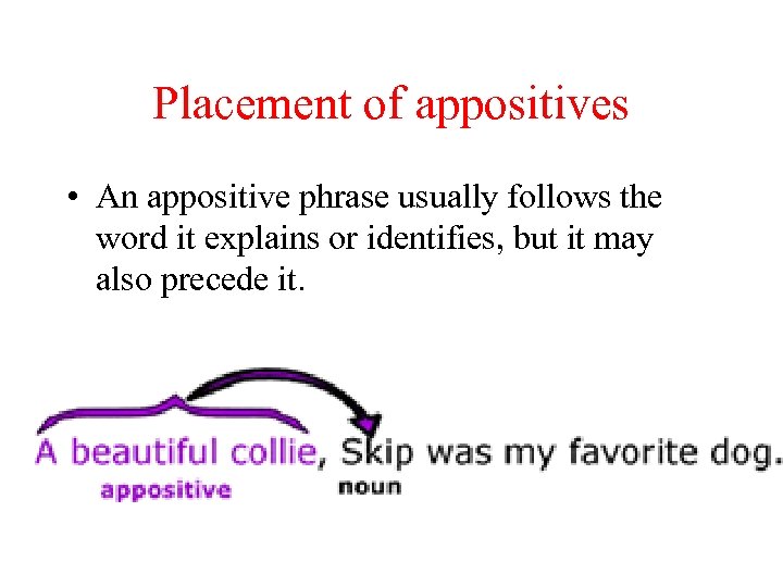 Placement of appositives • An appositive phrase usually follows the word it explains or