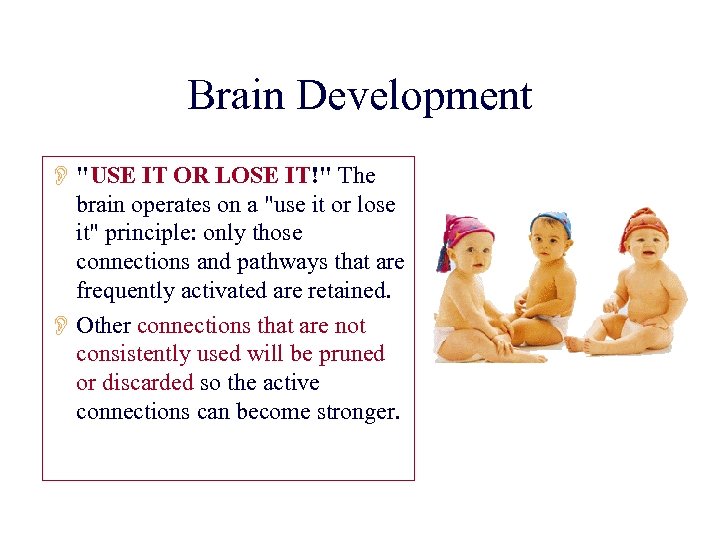 Brain Development O "USE IT OR LOSE IT!" The brain operates on a "use
