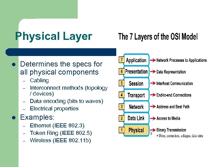 Physical Layer l Determines the specs for all physical components – – l Cabling