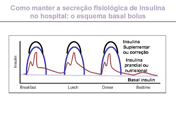 Como manter a secreção fisiológica de insulina no hospital: o esquema basal bolus Insulina