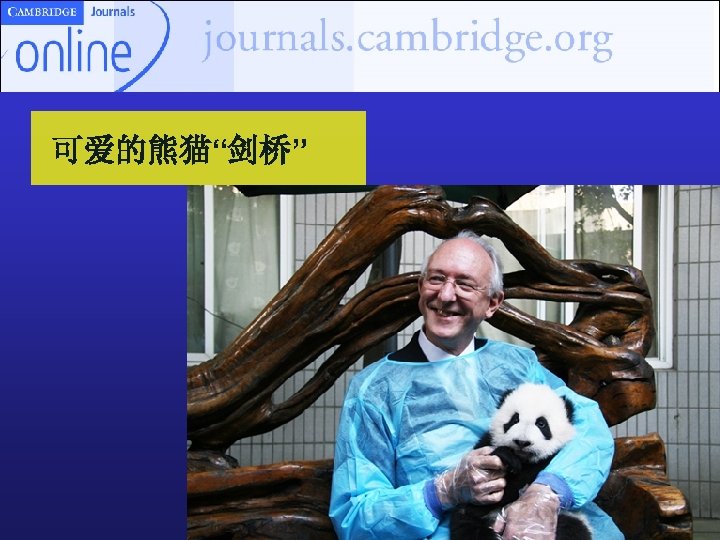 可爱的熊猫“剑桥” 