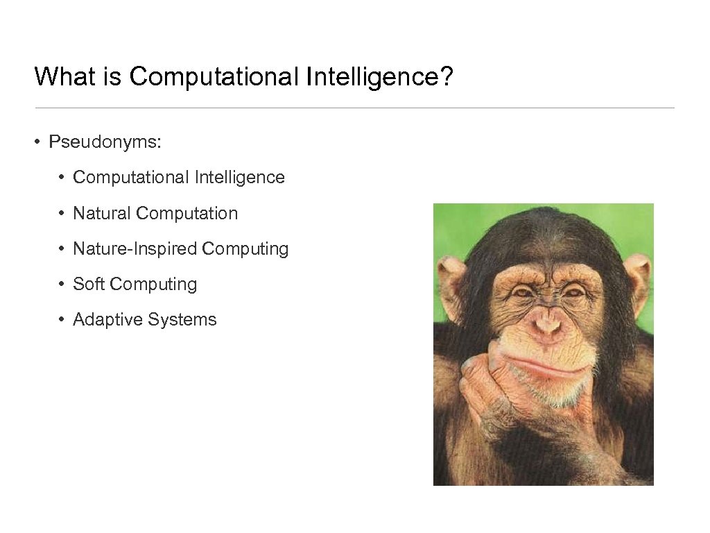 What is Computational Intelligence? • Pseudonyms: • Computational Intelligence • Natural Computation • Nature-Inspired