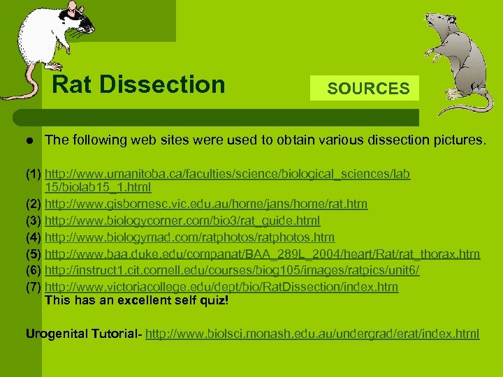 Rat Dissection l SOURCES The following web sites were used to obtain various dissection