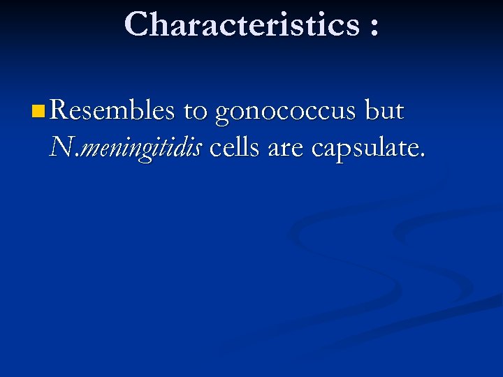 Characteristics : n Resembles to gonococcus but N. meningitidis cells are capsulate. 
