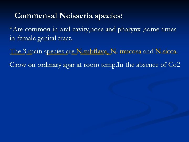 Commensal Neisseria species: *Are common in oral cavity, nose and pharynx , some times