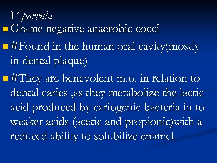 V. parvula n Grame negative anaerobic cocci n #Found in the human oral cavity(mostly
