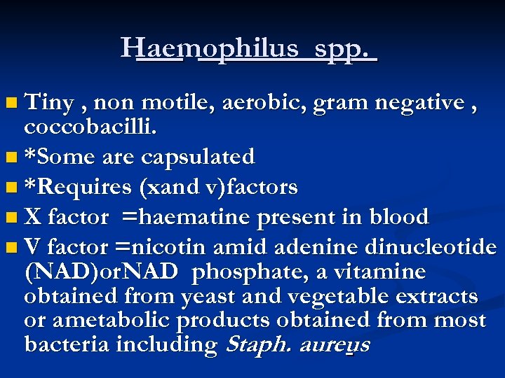 Haemophilus spp. n Tiny , non motile, aerobic, gram negative , coccobacilli. n *Some