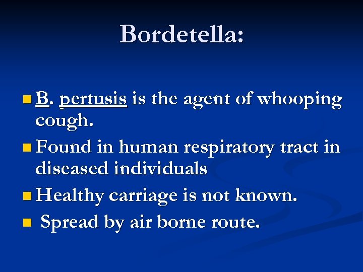 Bordetella: n B. pertusis is the agent of whooping cough. n Found in human