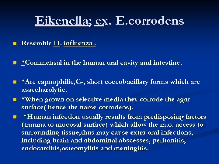 Eikenella; ex. E. corrodens n Resemble H. influenza. n *Commensal in the human oral