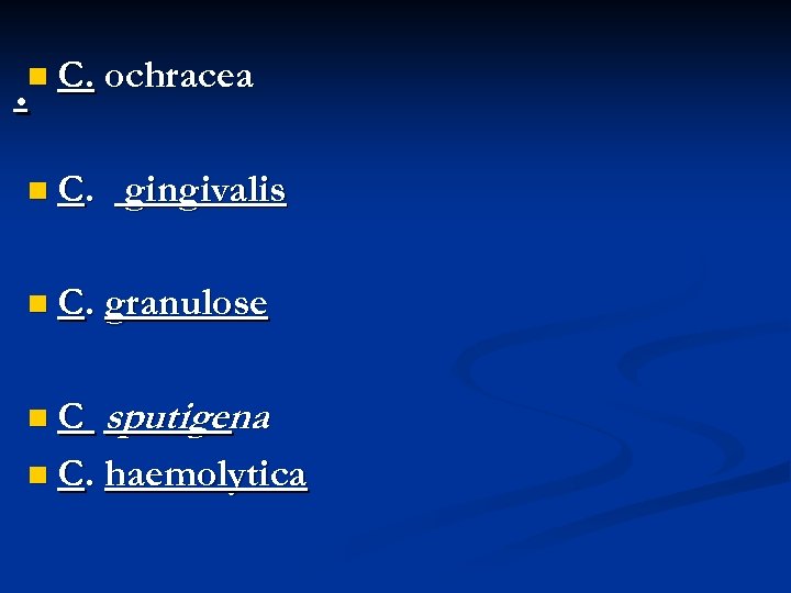 n C. ochracea . n C. gingivalis n C. granulose n. C sputigena n