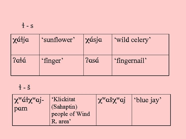  -s XA j. A ‘sunflower’ XA sj ‘wild celery’ ? A A ‘finger’