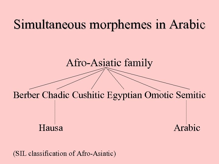 Simultaneous morphemes in Arabic Afro-Asiatic family Berber Chadic Cushitic Egyptian Omotic Semitic Hausa (SIL